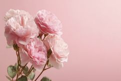 Garden Roses Wth Pink Background Wallpaper Product Image 1