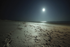 Full Moon Over a Beach at Night Background Wallpaper Product Image 1