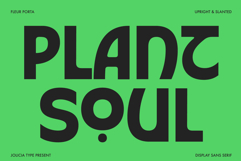 Fleur Porta | Display Sans Product Image 12