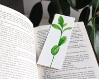 Watercolor wild berry clipart Red lingonberry Summer sticker Product Image 12