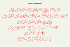 The Salty Monday | Font Duo Product Image 12