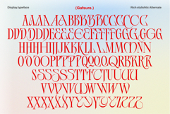 Gafsure | Modern Serif Product Image 12