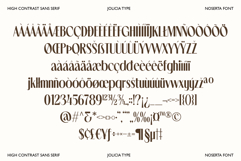 Noserta | Modern Sans Product Image 12