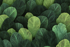 Green Leaf Background Product Image 1