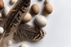 Eggs and Feathers Background Wallpaper Product Image 1