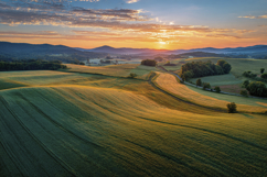 Green Landscape Background Wallpaper Product Image 1