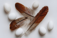 Eggs and Feathers Background Wallpaper Product Image 1