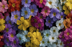 Colorful Flowers Background Wallpaper Product Image 1