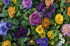 Flowers and Leaves Background Wallpaper Product Image 1