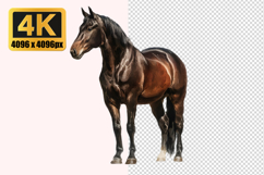 Majestic Brown Horse Transparent PNG Product Image 1