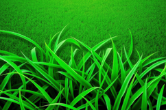 Green Grass Green Background Product Image 1