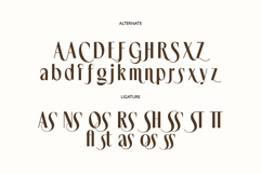 Noserta | Modern Sans Product Image 13