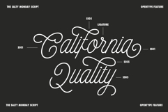 The Salty Monday | Font Duo Product Image 13
