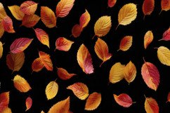 Autumn Leaves Background Product Image 1