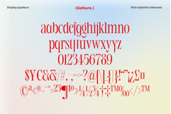 Gafsure | Modern Serif Product Image 13