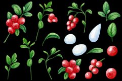 Watercolor wild berry clipart Red lingonberry Summer sticker Product Image 13