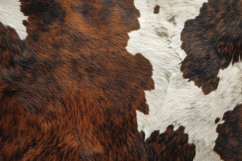 Cow Skin Texture Background Wallpaper Product Image 1