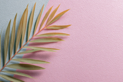 Palm Branch with Blue and Pink Background Wallpaper Product Image 1