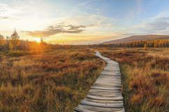 Wooden Pathway at Sunset Background Wallpaper Product Image 1