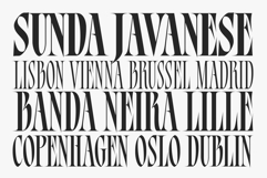 Bersa Serif | Narrow Serif Product Image 14