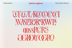 Gafsure | Modern Serif Product Image 14