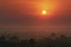 Sunset Over A Forest Landscape Background Product Image 1