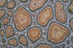 Design Texture background Product Image 1