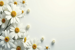 Common Daisies Background Wallpaper Product Image 1
