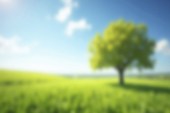 Blurred Green Grass Background Wallpaper Product Image 1