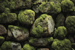 Stone Wall Covered Moss Background Product Image 1