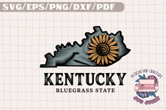 USA STATE America Vintage SVG Monochrome Design Patriotic Product Image 1