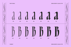 Bersa Serif | Narrow Serif Product Image 15