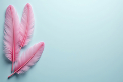 Pink Feathers with Blue Background Wallpaper Product Image 1