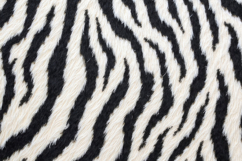 Zebra Stipes Texture Background Product Image 1