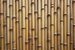 Natural Bamboo Stalks Background Wallpaper Product Image 1