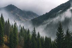 Foggy Mountains and Forest Background Wallpaper Product Image 1
