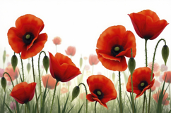 Red Poppies Background Wallpaper Product Image 1