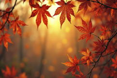 Maple Leaves Texture Background Wallpaper Product Image 1