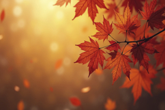 Maple Leaves Autumn Background Wallpaper Product Image 1
