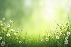 Lush Green with Daisies Background Wallpaper Product Image 1
