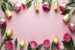 Flowers with Pink Background Wallpaper Product Image 1