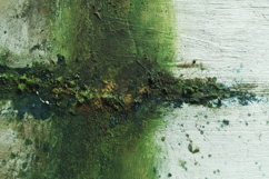 Green and White Grunge Background Wallpaper Product Image 1