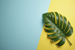 Monstera Leaf with Colored Background Wallpaper Product Image 1