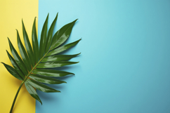 Areca Palm Leaf with Colored Background Wallpaper Product Image 1