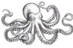Octopus Background Wallpaper Product Image 1