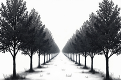 Black and White Trees Background Wallpaper Product Image 1