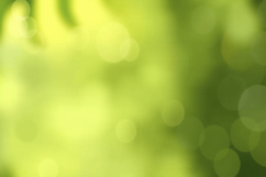 Green Nature Bokeh Background Wallpaper Product Image 1
