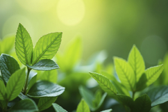 Vibrant Green Leaves Background Wallpaper Product Image 1