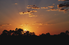 Sunset With Forest Background Product Image 1