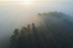 Golden Sunlight Background Wallpaper Product Image 1